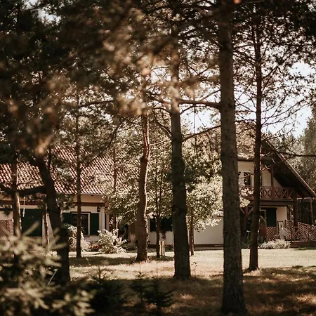 Rentynówka Lodge *