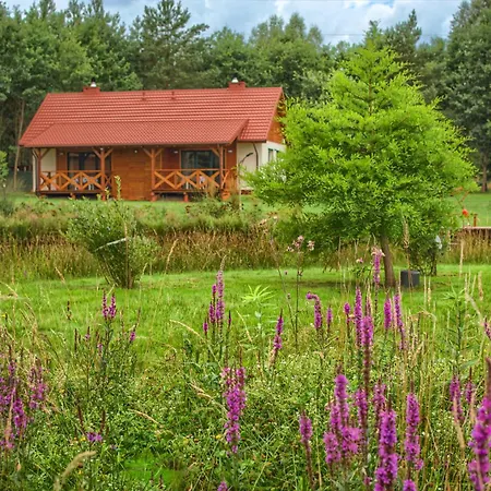 Lodge Rentynowka